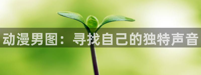 78动漫网怎么没了