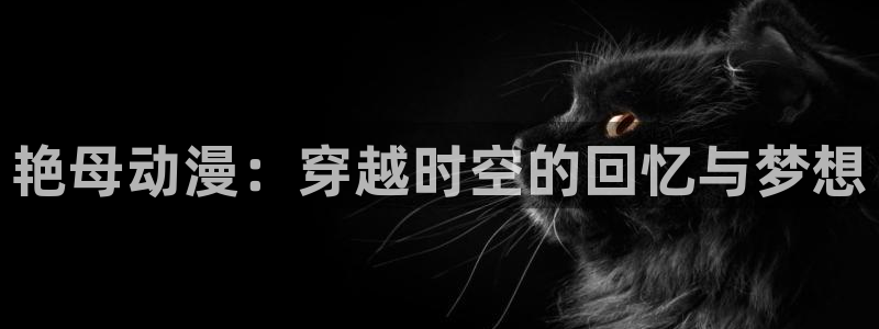 78动漫网站维护