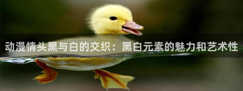 78动漫手机版：动漫情头黑与白的交织：黑白元素的魅力和艺术性