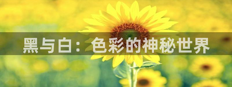 78动漫最新版