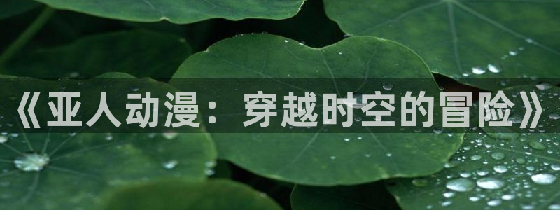78动漫官网网站