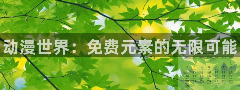 变形金刚78动漫