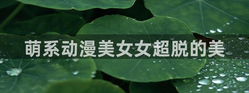 78动漫社