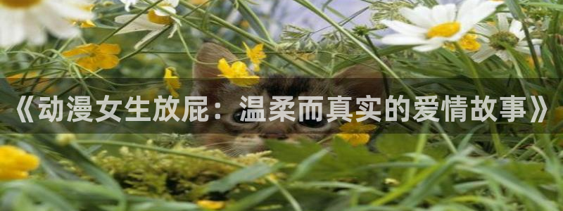 78动漫官方下载入口