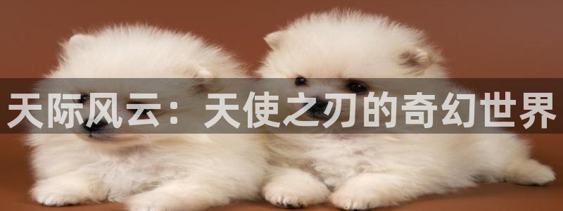 78动漫网站维护