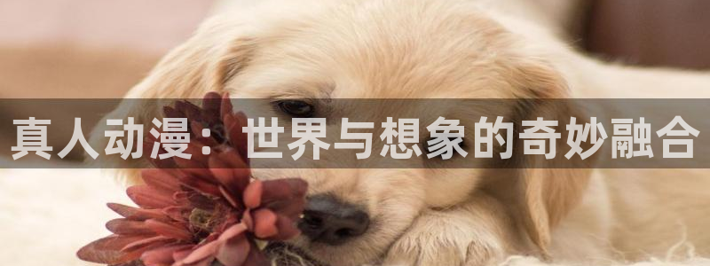 78动漫软件