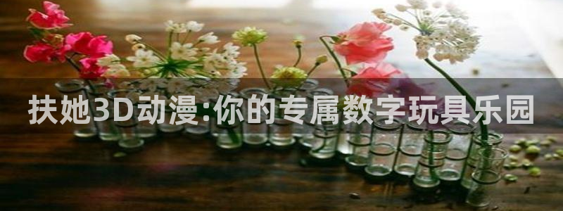 78动漫资料