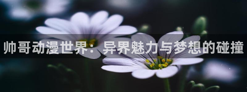 78动漫 官网：帅哥动漫世界：异界魅力与梦想的碰撞