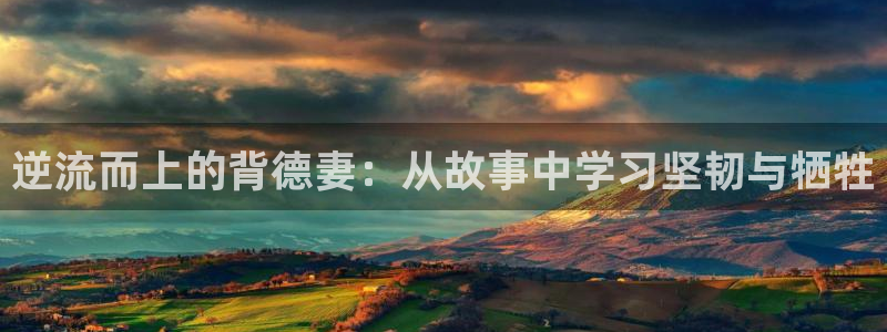 178动漫之家官网：逆流而上的背德妻：从故事中学习坚韧与牺牲