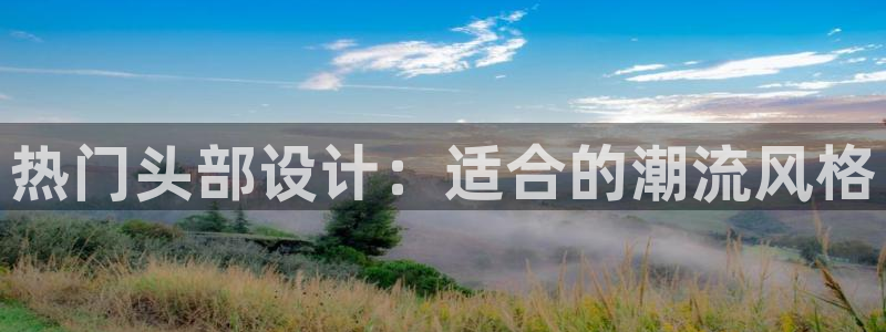 78动漫官方下载入口：热门头部设计：适合的潮流风格
